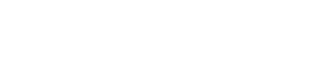 Senseer